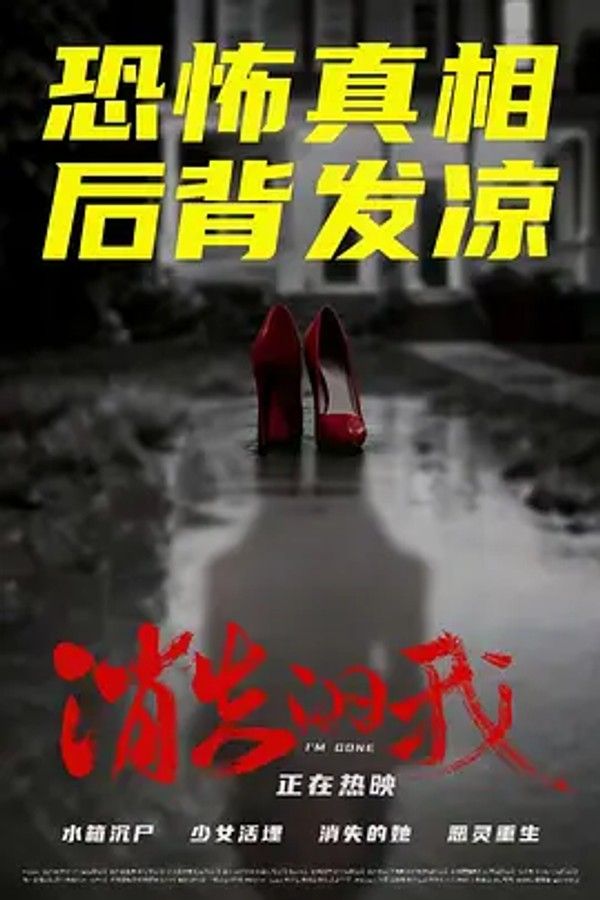 消失的我