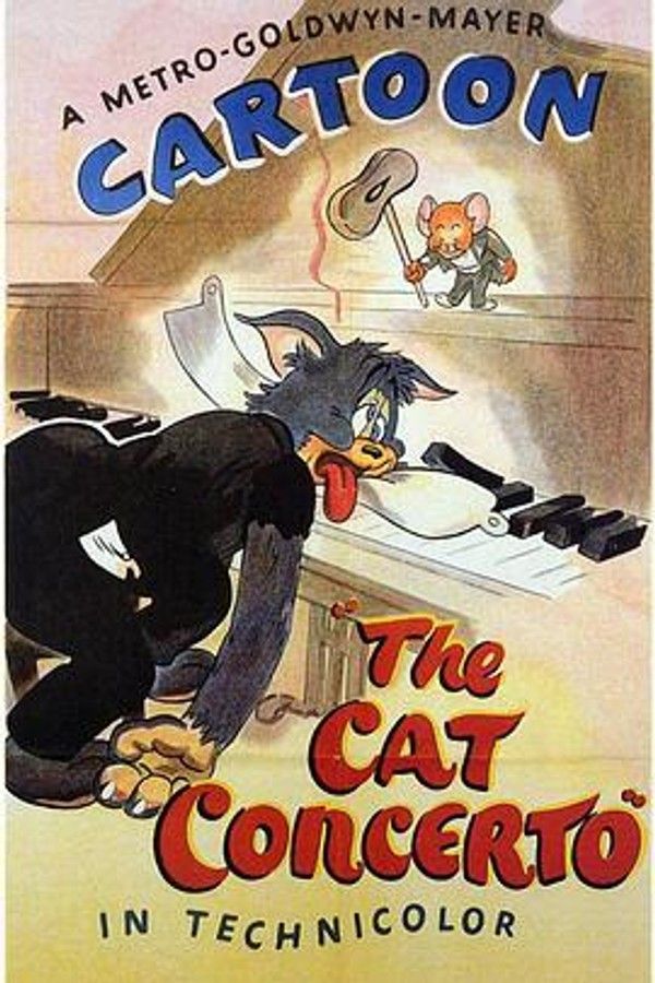 猫的协奏曲