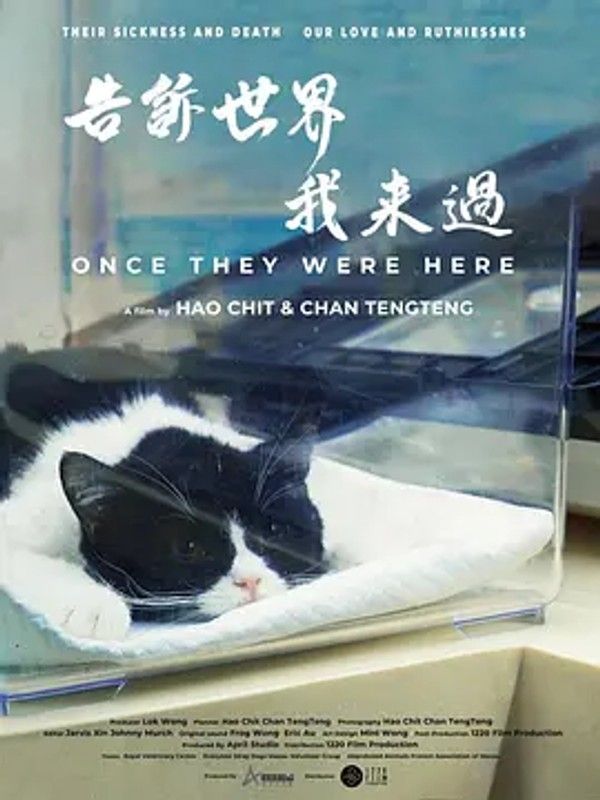 告诉世界我来过