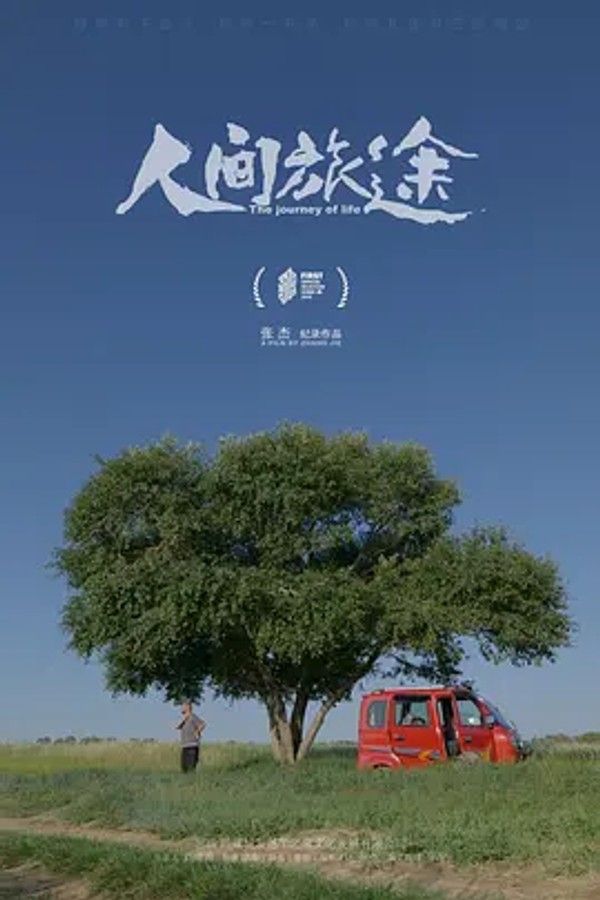 电音奇才艾维奇：蒂姆原色