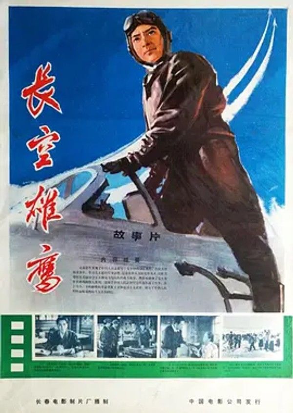 长空雄鹰